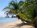 Immersion Costa Rica Registration (FOR CURRENT IMMERSIONISTS ONLY)